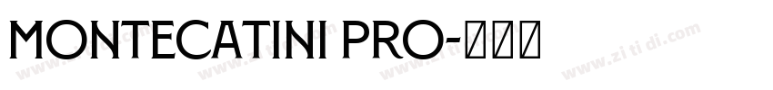 Montecatini Pro字体转换